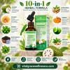 Soursop 10-in-1 Herbal Drops with Sea Moss, Moringa, Black Seed Oil, Oregano & Ashwagandha – Vegan Daily Wellness Support, 2 fl oz