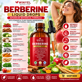 WINYEL Berberine & Ceylon Cinnamon Liquid Drops – Herbal Metabolism & Blood Sugar Wellness Support | Bitter Melon, Chromium & Turmeric (Option: 1 PCS)